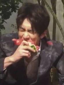 娱乐圈吃瓜爆料林更新,娱乐圈爆料背后的真相与争议